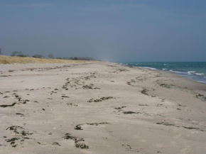 Urhanen in Gedser